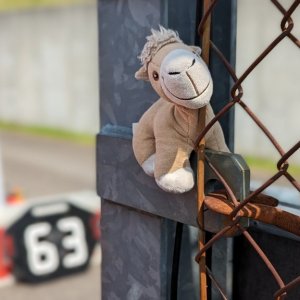 PXL_20230617_135340084.PORTRAIT